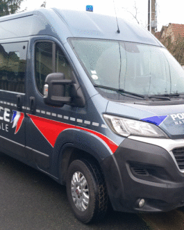 3.Fiat Ducato