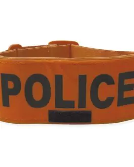 Brassard Police 2018-