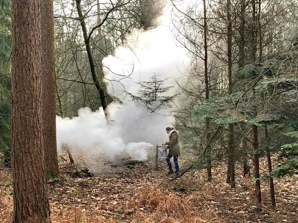 Machine à fumée Artem forêt